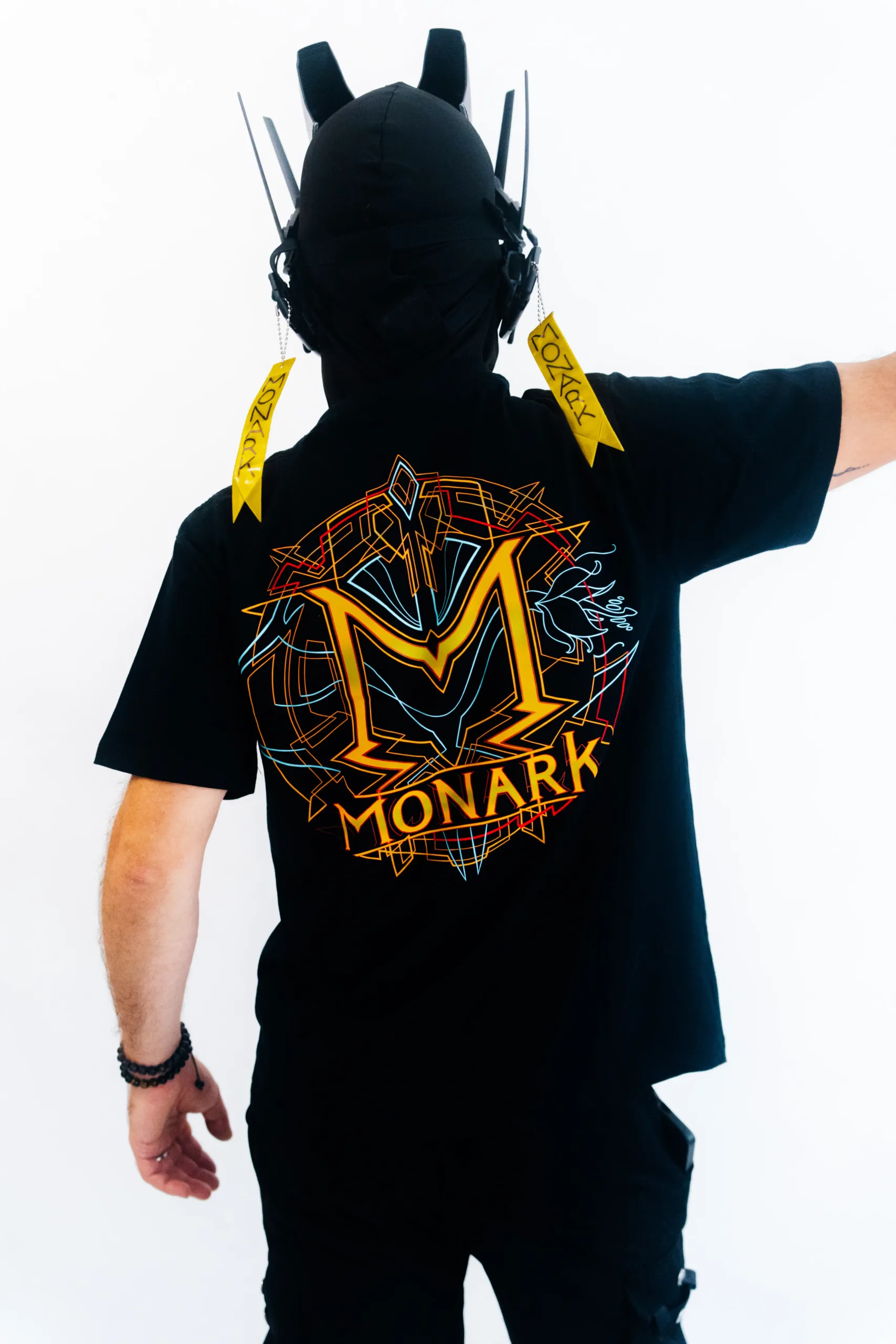 l'Empereur lève le bras pour inciter à accepter la politique de confidentialité de monark